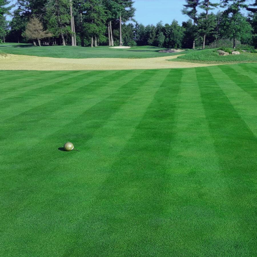 Falcon Greens